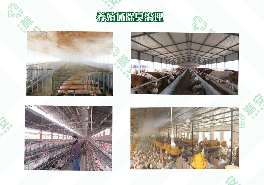 河南除臭劑廠家如何有效解決養(yǎng)殖場(chǎng)異味問(wèn)題？專業(yè)指南來(lái)了