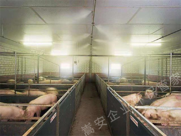 養(yǎng)殖場(chǎng)如何除臭可以降低禽畜患病風(fēng)險(xiǎn)，生物除臭劑效果不錯(cuò)